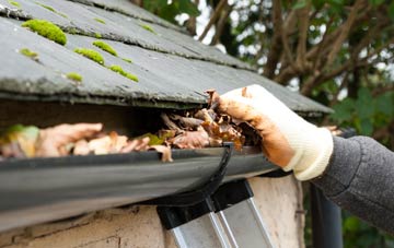 gutter cleaning Leppington, North Yorkshire