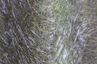 Leppington fibreglass roof work